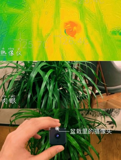 N号房事件到国内的偷拍,我们该如何拉开与恶的距离?